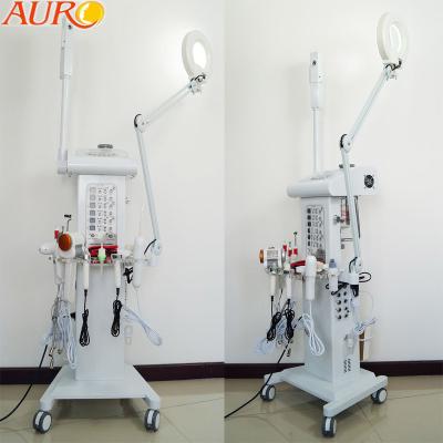 China Salon Vacuum Spray Multifunctional Facial Machine 110V 220V Magnifying Lamp for sale