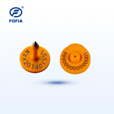 China ICAR Certified Electronic Ear Tag For Pig Identification In Slaughtering / Feeding en venta