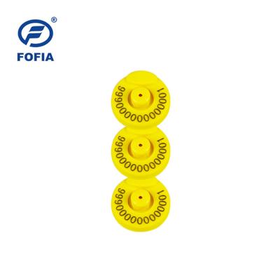 China FOFIA LF RFID Electronic Ear Tag Animal Cattle Animal ID29mm Diameter for sale