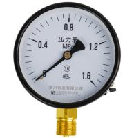 China Hierro común de cobre radial Shell M20*1.5 del indicador de presión del CCC Y100 100m m en venta