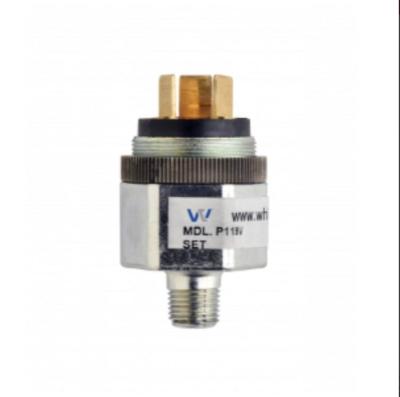 China Miniatur-Floss-Niveauschalter P V 5 Ampere P119G-10H-C12L Whitman Controls Pressure Switches zu verkaufen
