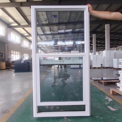 China Heat Insulated UPVC Single Hung Window Ventilator White Black for sale