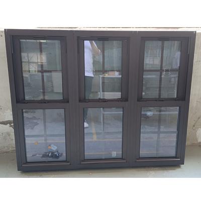 China Multi Chambered Double Aluminum Hung Window Vertical Sliding Anodized Finish for sale