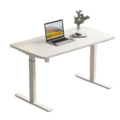 China Office Metal Stainless Steel Electric Sit Stand Desk with Motorized Height Adjustment for sale