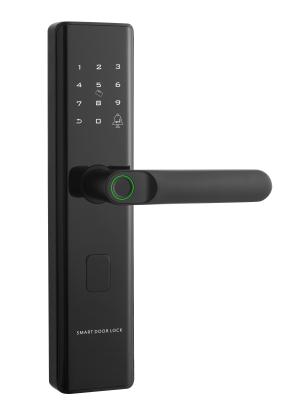 China Smart Intelligent Digital Fingerprint Smart Door Lock with Handle For Elderly And Children Easily Unlocking for sale