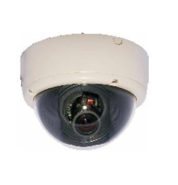 China 600TVL Star Light CCD Fixed Plastic Dome Camera for sale