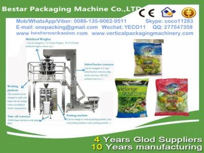 China Fresh Garden Salad packing machine,all kind of vegetables, like iceberg lettuce, romain, spring onion and leek machine for sale