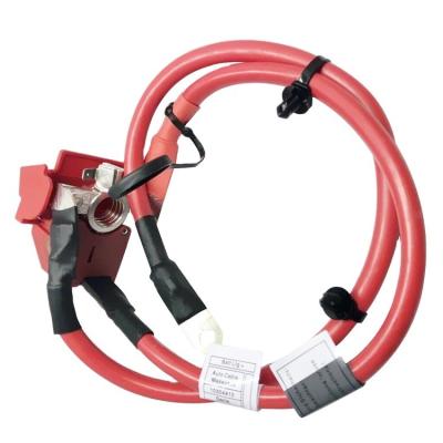 China Car Accessories OE 61129253111 XINLONG LION Positive Battery Cable for BMW 1 Series F20 for sale