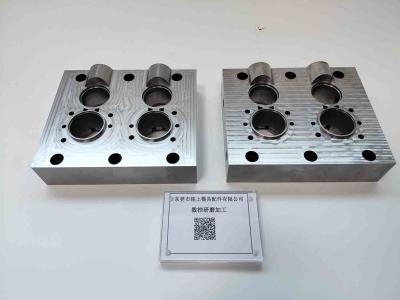 China Mold Core for Injection Molding / 1.2344 Hardened Mould Core Insert Plastic Molded Parts for sale
