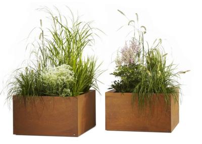 China Contemporary Metal Planters Large Flower Pots Corten Steel Material for sale