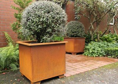 China Modern Stylish Square Metal Flower Pots / Square Metal Garden Planters Corten Steel for sale