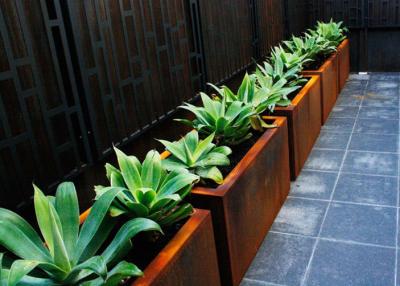 China Customized Square Metal Planters Outdoor Corten A Material 50cm Height for sale