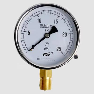 China YE-100 Diaphragm Pressure Gauge Sensor 0-40kpa Easy Installation for sale