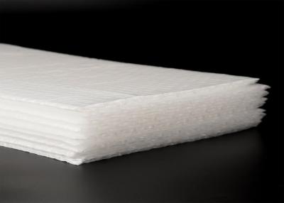 China Pantone PLA PBAT Biodegradable Bubble Wrap For Cushion Packaging for sale