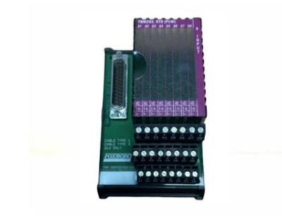 China P0916AE Foxboro FBM203 Assembly 8 Input Terminal Brand New Warranty 12 months for sale