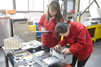 China Precisión que muele color de acero de encargo de la base de molde de las bases de molde 50c Dme en venta