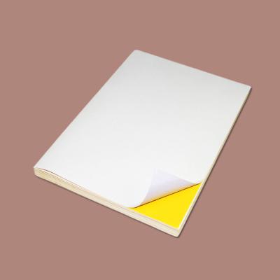 China Strong Adhesive Glossy A4 200g Blank Sticker Paper for sale