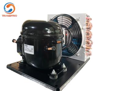 China Condensador de refrigeração ar de condensação da refrigeração da unidade da baixa temperatura à venda