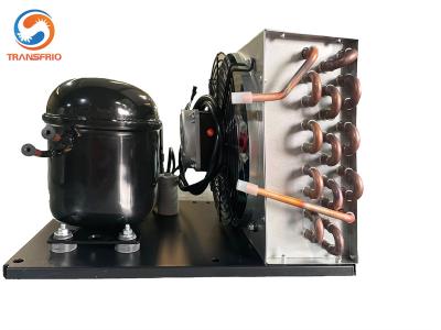 China Unidade de condensação 220V 50Hz 115V 60Hz da refrigeração comercial do secador de gelo de RC-70DL à venda