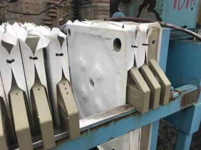 China Substituição 600gsm de pano da imprensa de filtro do polipropileno das águas residuais para a secagem da pasta à venda