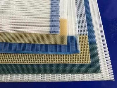 China Mesh Screen Sludge Dewatering Spiral Filter Belt , PPS Synthetic Polyester Fabric for sale