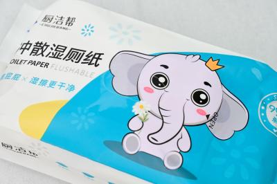 Chine Tissu hygiénique de toilette à laver à l'eau 50 grammes de tissu non tissé visqueux 8 pièces/emballage à vendre