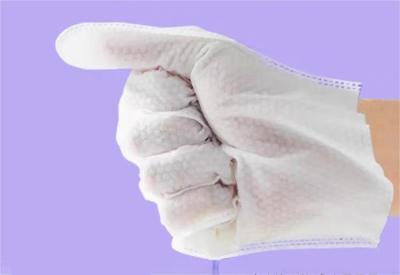 China 990,9% de esterilização toalhas de limpeza para animais de estimação suave não irritante para cães e gatos à venda