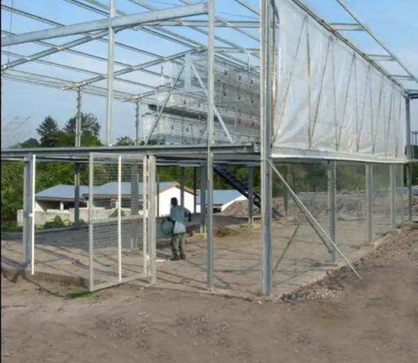 Quality Weather Proof Steel Framed Agricultural Buildings With Eps Sandwich Wall Panel for sale