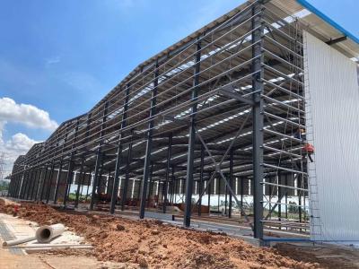 China Steel Light Poultry Farm Structural Builiding With H/I Beams Round Pipes for sale