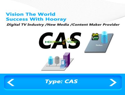 China CAS Digital TV Software Conditional Access System 256 AC Index For IPTV OTT Pay for sale