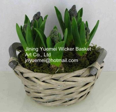 China new design home dicorative wicker flower basket willow garden basket plant for sale