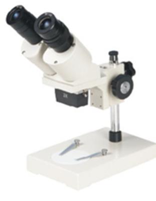 China Microscopio estéreo XTX-203A de la ampliación fija en venta