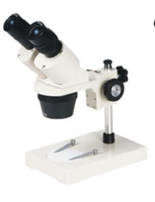 China Microscopio estéreo XTX-204A de la ampliación fija en venta