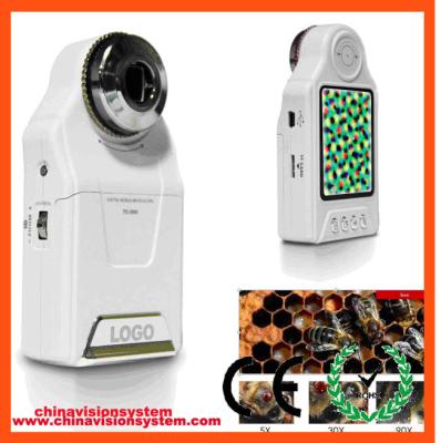 China Bajo microscopio portátil de la ampliación 5MP Digitaces del costo 2.7Inch 500X en venta