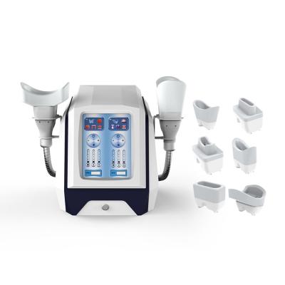 China ISO90 1000W Cryolipolysis Slimming Machine Two Handle 6 Heads for sale