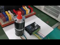 How to test brushless dc motor ?