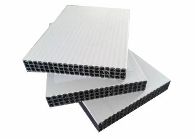 China Concrete 18mm Polypropylene Plastic Pp Hollow Board for sale