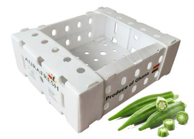 China 11lbs Fresh Okra PP Corrugated Plastic Packaging for sale