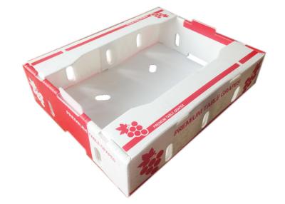 China Pasa de la fruta que embala la caja plástica acanalada hueco de los PP en venta
