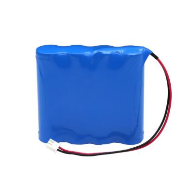 China High Performance 3000mah14.8 Volt Lithium Ion Battery Packs For Robot Sweeper for sale