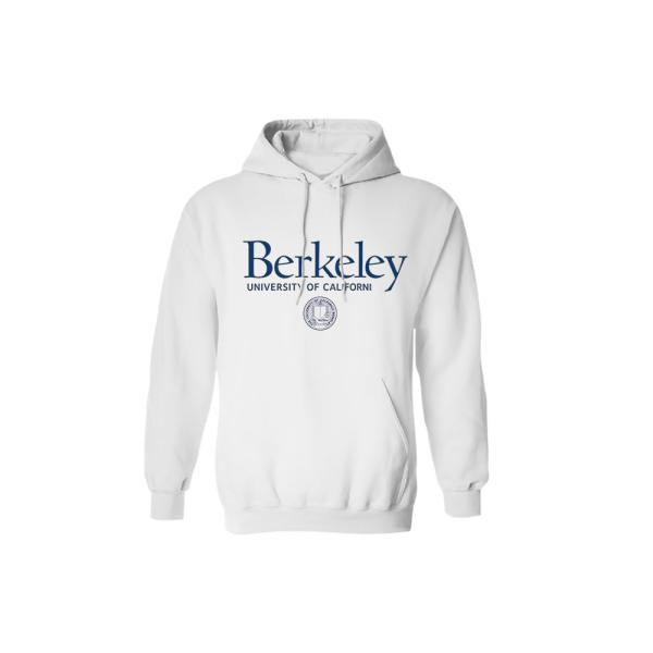 Quality Tailoring Design Printing Logo Educational Merchandise College Hoodie Breathable for sale