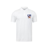 Quality Quick Dry University Polo Promotion Polo with Custom Logo Printing for sale