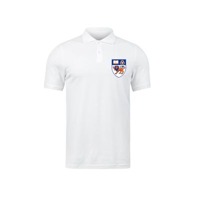 China Quick Dry University Polo Promotion Polo with Custom Logo Printing for sale
