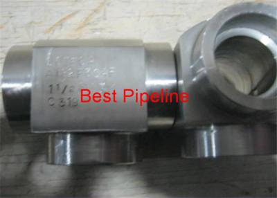 China Stainless Steel Forged Pipe Fittings 12