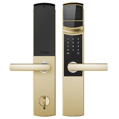 China Iris Recognition Smart Door Lock: Advanced Security & Personnel Management for sale