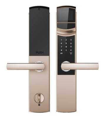 China Cerradura de puerta biométrica de acero inoxidable con llave de emergencia 1s Tiempo promedio de reconocimiento en venta