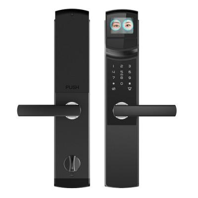 China Highly Secure Iris Scanner Door Lock with Advanced Security & Convenience for sale