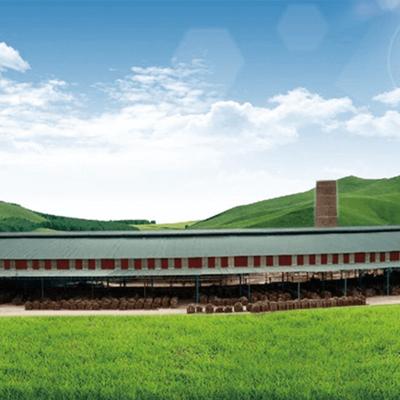 China 250000 máquina de fabricación de ladrillo completamente automática del horno de la máquina 12.98m de la planta del ladrillo en venta