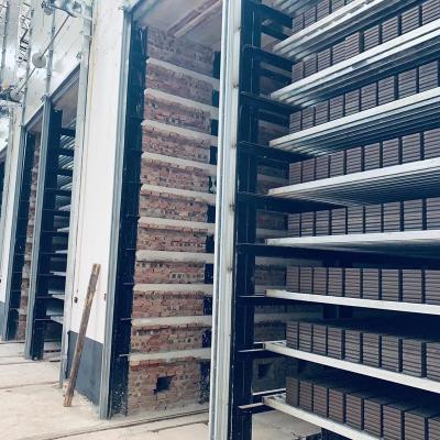 Chine Les briques de décoration de Clay Brick Production Line For de four à tunnel font face à la production de brique plaçant deux fois le système à vendre