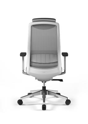 China DIOUS Office Mesh Chairs for sale